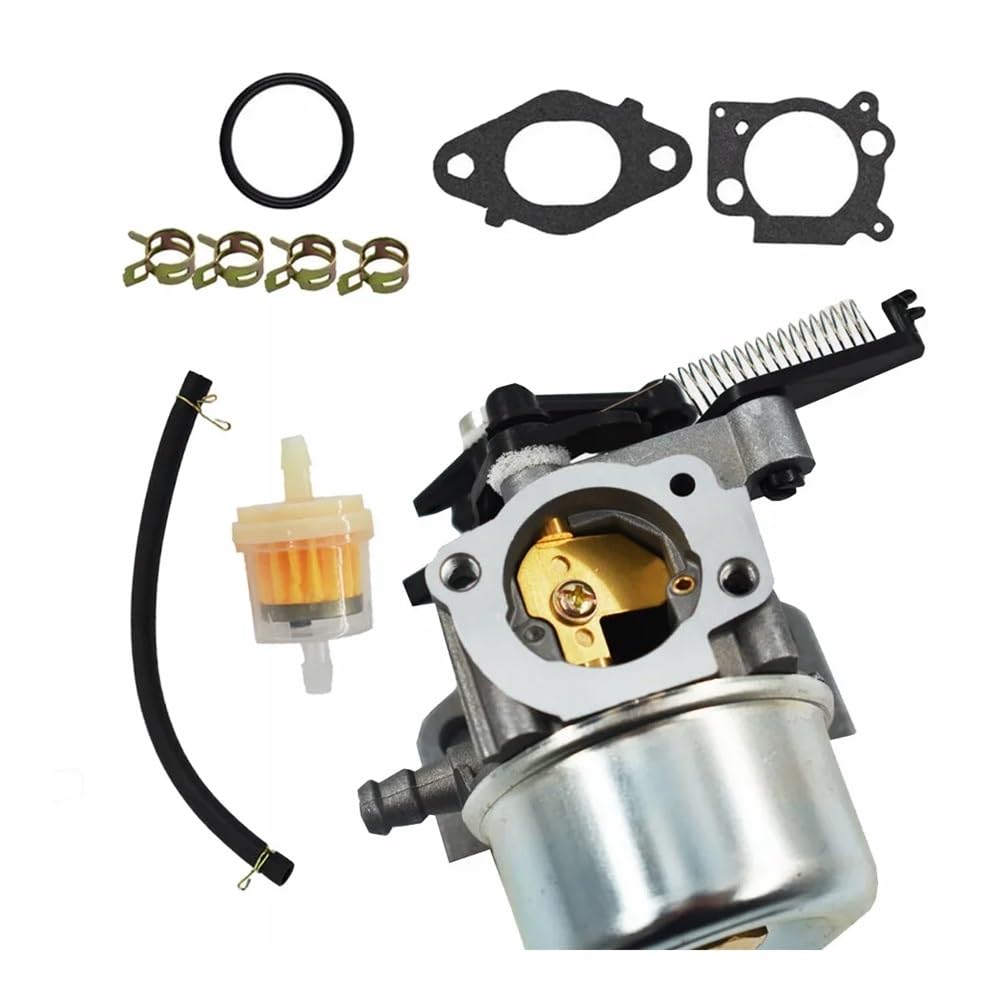 Herramientas de jardín Kit de carburador Compatible con Juntas de Filtro de Combustible 594287 799248