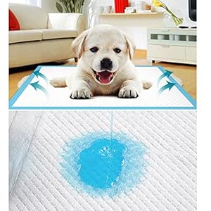   GKYZBB-Absorbent-pee-pads-for-dogs-and-puppies-pet-training-padspuppy-padsdog-padslarge-dog-pee-pads-L-40