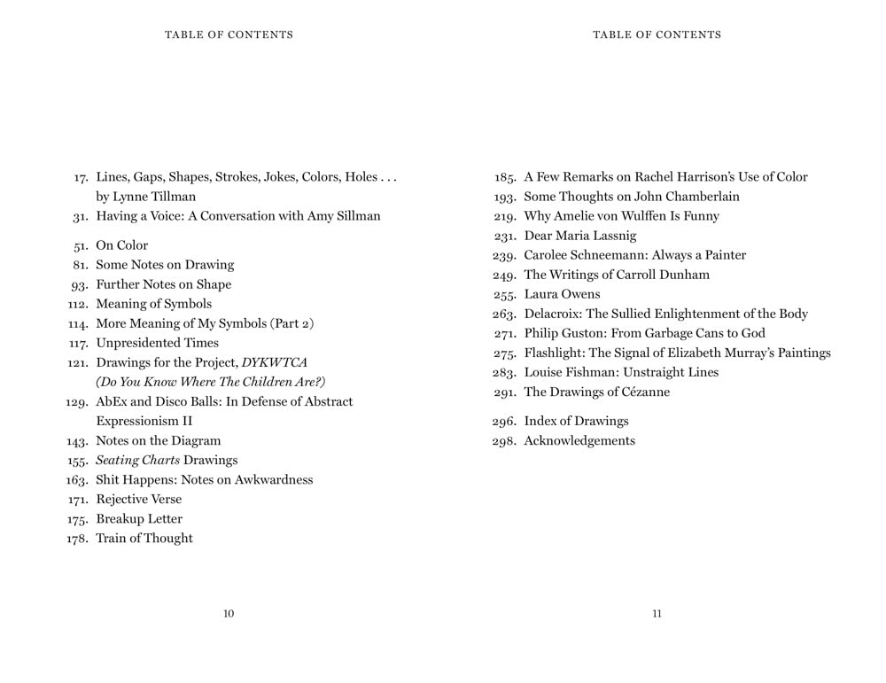Faux Pas. Selected Writings and Drawings of Amy Sillman /anglais