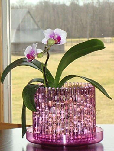 3.75" Rose Quartz Baby Orchitop Carousel Orchid Pot with Matching Detachable Saucer
