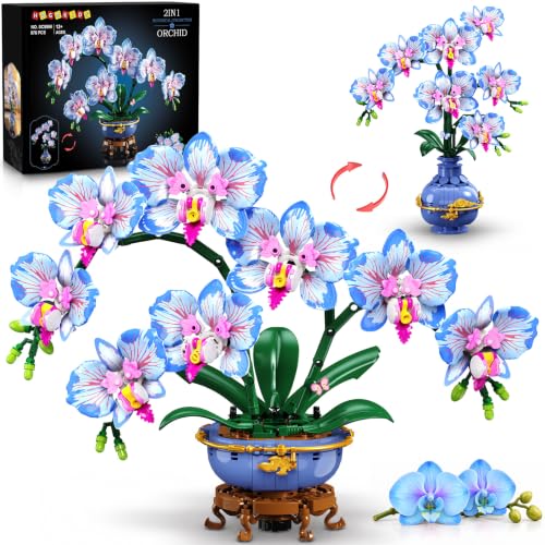 HOGOKIDS Orquídea Azul 2 en 1, Bloques para Adultos, Colección Botánica | Bonsái de Orquídea Mariposa, 976 Bloques, Planta Artificial con Jarrón, Decoración del Hogar, Regalo para Mujeres y Niñas 12+