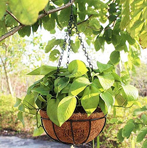 Topiary Art Works 18-inch Hand Formed Hanging Basket Coco Fiber Liner (C930L) with Water Retainer