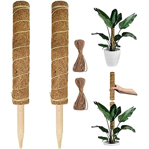 AAGUT Moss Pole 2 Pack 17 Inch (Full Length 34 Inch) Coco Coir Sticks Support Climbing Indoor Plants to Grow Upwards, Totem Pole Very Suitable for Potted Plants, Creepers Cover