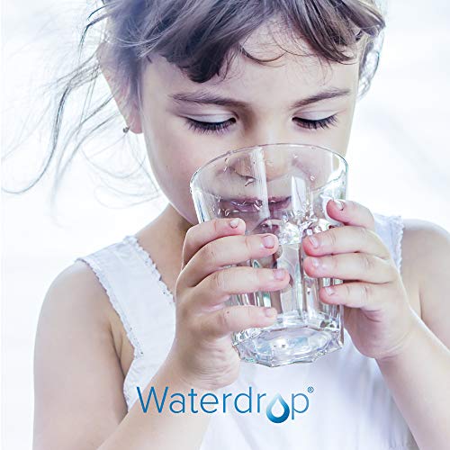 Waterdrop WD-FC-01 Water Filter For Sink, 320-Gallon Faucet Mount Water Filtration System thumb #1