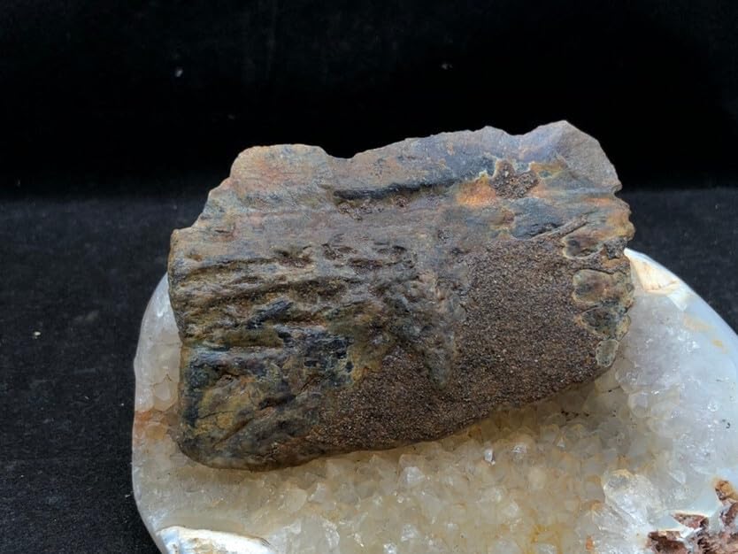 Jurassic Ancient Giant Beast Armor Fossils