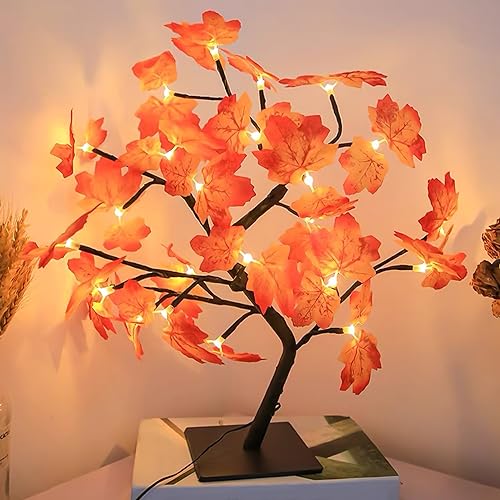 Nizirioo Lumière à Feuilles D'érable: Décoration Automne Lumière avec 24 LED, Lumière à Feuilles D'érable USB, Lumière de Feuilles D'érable de Bureau Pour Jardin, Thanksgiving, Noël, Fête, Mariage Nizirioo Lumière à Feuilles D'érable: Décoration Automne Lumière avec 24 LED, Lumière à Feuilles D'érable USB, Lumière de Feuilles D'érable de Bureau Pour Jardin, Thanksgiving, Noël, Fête, Mariage