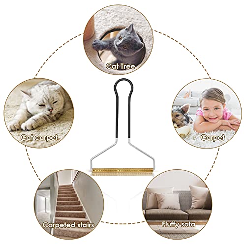 Molain Haustierhaarentferner, Katzen- und Hundehaarentferner, Tierhaarentferner für Möbel (Schwarz)