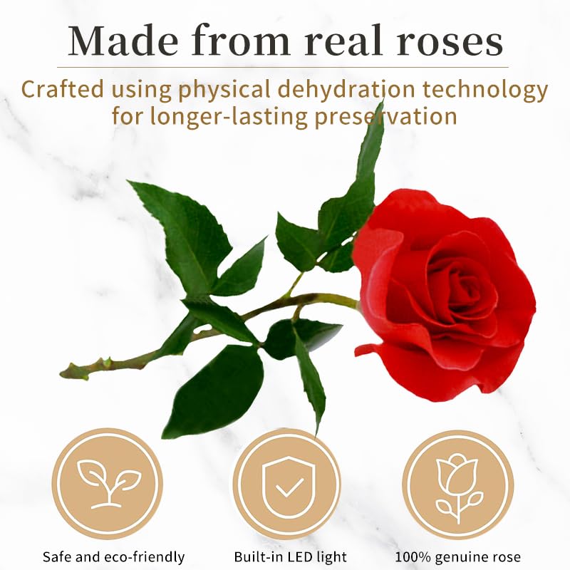 Rosa preservada púrpura con cúpula de vidrio y luz LED miniatura 5
