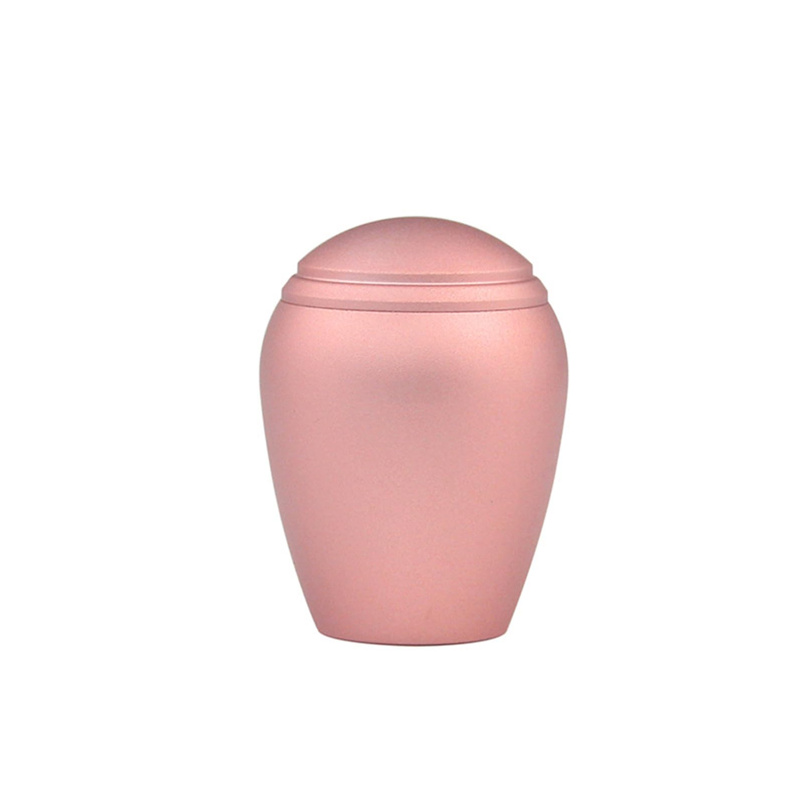 Ashes Urn Steel Container for of Furry Engraved Urn