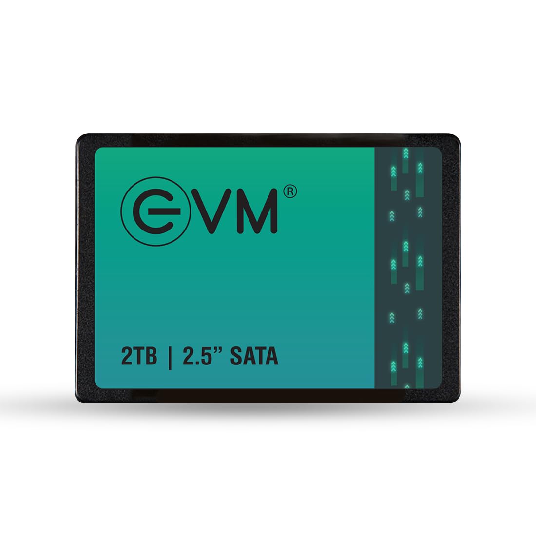 EVM 2TB 2.5-Inch SATA Internal SSD – 550MB/s Read & 500MB/s Write – 5-Year Warranty (EVM25/2TB)