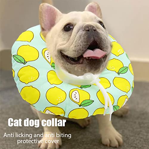 Image of Qpets Cat Cone Collar Comfy & Soft Stuffed PP Cotton Adjustable Size Machine Washable, After Surgery for Anti-Licking Dog Cone Collar,Surgery Recovery Collar for Pet (S :12-22cm)