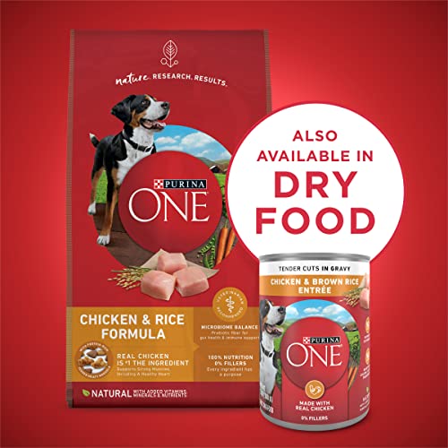 Purina ONE Natural High Protein Dog Food, Tender Cuts in Gravy Chicken and Brown Rice Entrée - 13 Ounce (Pack of 24) - image 7