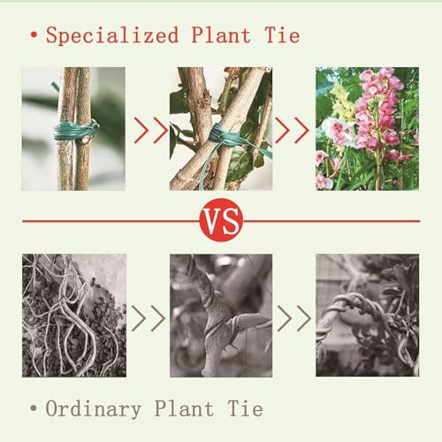Garden Plant Ties, Ataduras Verdes para Plantas con Cortador, 100 m Cintas de Alambre para Jardinería Oficina Hogar miniatura 6