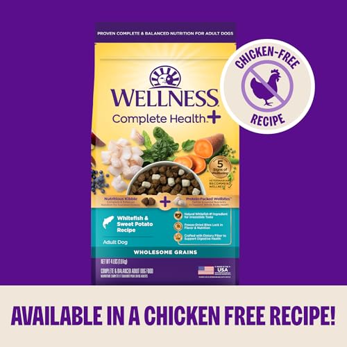Wellness Complete Health+ Adult Dry Dog Food with Freeze Dried Wellbites, Wholesome Grain Kibble+, Natural, Chicken and Oatmeal Recipe, 4 lb Bag - image 9