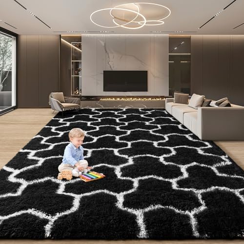 EVOIONOS 6x9 Washable Large Area Rug for Living Room, Black