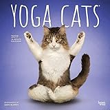 Yoga Cats 2019 Calendar
