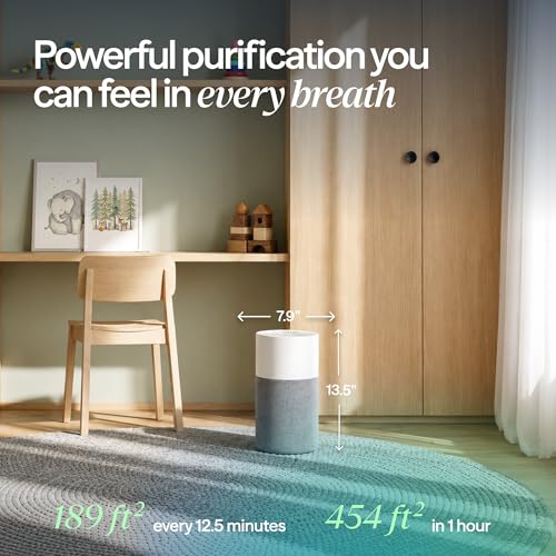 Blueair commercial air purifier