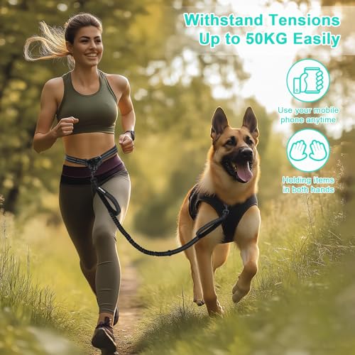 Philorn Joggingleine für Hunde, Freihändig Laufleine für Große/Mittelgroße Hunde zum Joggen Laufen Wandern, Bauchgurt Hundeleine mit Dual Griffe, Reflektierende Nähte, Bauchgurt Schwarz