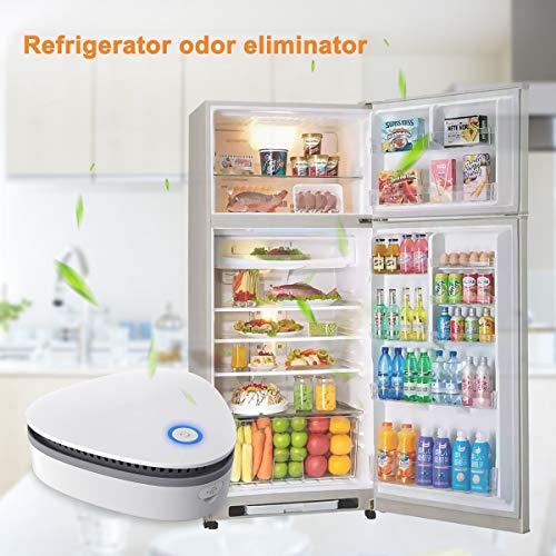 Vtar Portable Small Ozone Machine, #TOP2