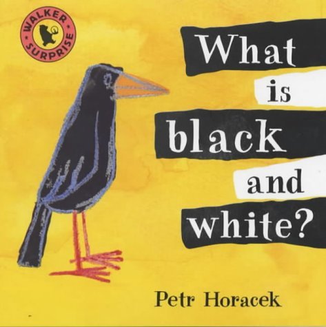 What Is Black and White? (Walker Surprise)      Hardcover – May 8, 2001