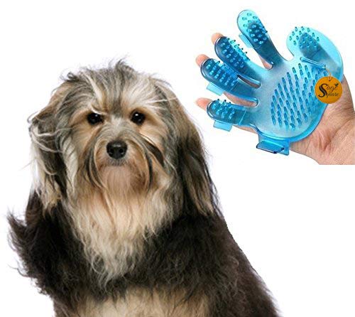 Sage Square 2 in 1 Hand Adjustable Dog Brush / Pet Comb for Grooming cum Massager for Pets from Mites / Lice / Ticks for Dog / Puppy / Kitten / Cat (Blue) (B07K8BFZTT) Amazon Price History, Amazon Price Tracker