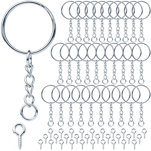 Schlüsselring mit Kette 170 Stück Schlüsselanhänger Basteln Set (85 Schlüsselanhänger Ringe Kette + 85 Schrauböse Pins) Schlüsselringe 25mm für Schlüssel DIY Taschen Schmuckherstellung (Silber)