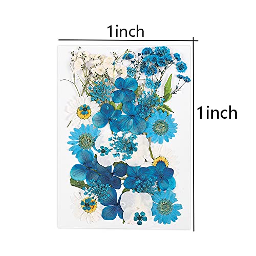 Flores secas para resina DIY 1 bolsa para manualidades miniatura 2