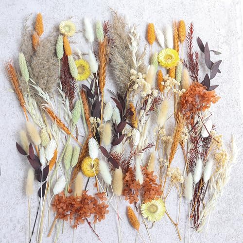 Premium Autumn Dried Flower Set by apmunik - Versatile DIY Bouquet Kit for Home Décor, Wreaths, and Event Styling - Image 9