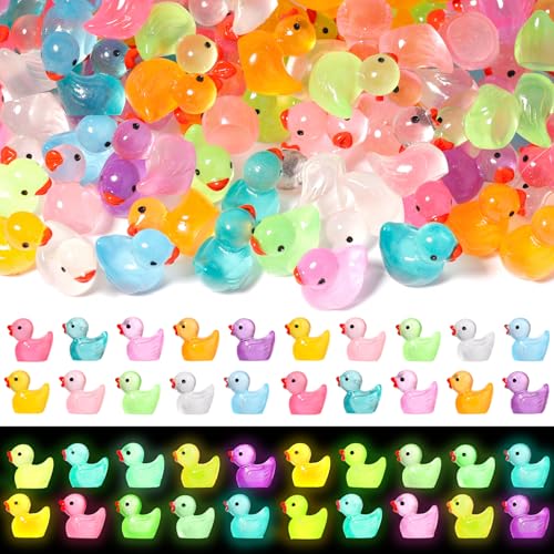 WIURGOHA 220PCS Mini Tiny Resin Ducks Little Miniature Plastic Small Ducks Bulk Glow in The Dark Figures for Dollhouse Decor Accessories Garden Micro Landscape Aquarium Potted Tiny Homes (10 Colors)