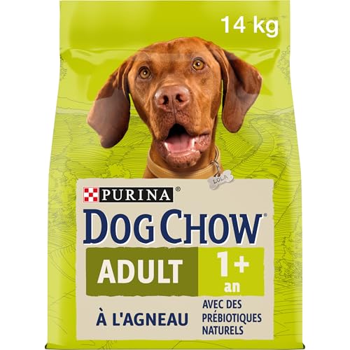 PURINA DOG CHOW | Adulte | Croquettes pour Chien de Grande Taille |Agneau | Lot de 1 | 14 kg | Sac