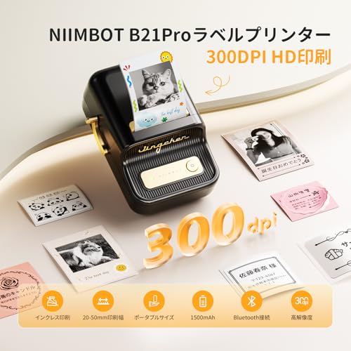 NIIMBOT B21Pro サーマルプリンター の商品画像 1