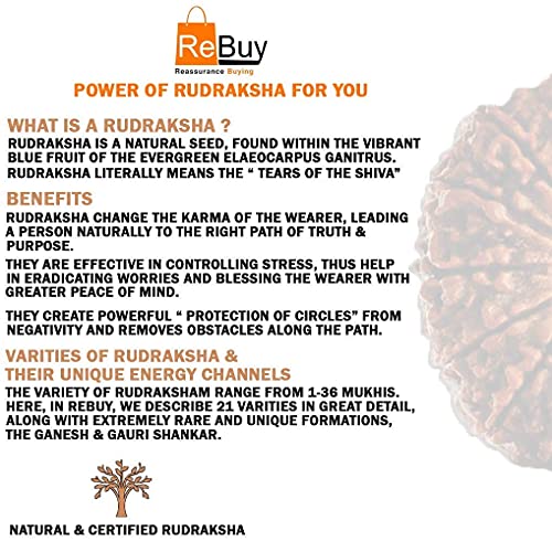 Image of REBUY 5 Mukhi Original & Lab Certified Nepali Rudraksha With Silver Pendant | 5 Faced Natural & Certified Astrological Rudraksha For Unisex Men & Women | Positive Effect, 20-25 mm in
