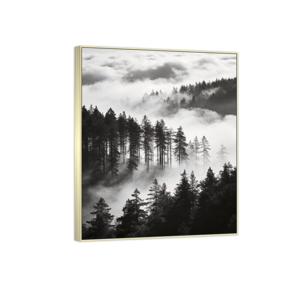 Forest Tree 9 Black White Landscape Canvas Picture 40x50cm Silver Frame