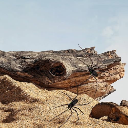 Imán decorativo de araña 3D para refrigerador, 4 pulgadas miniatura 5