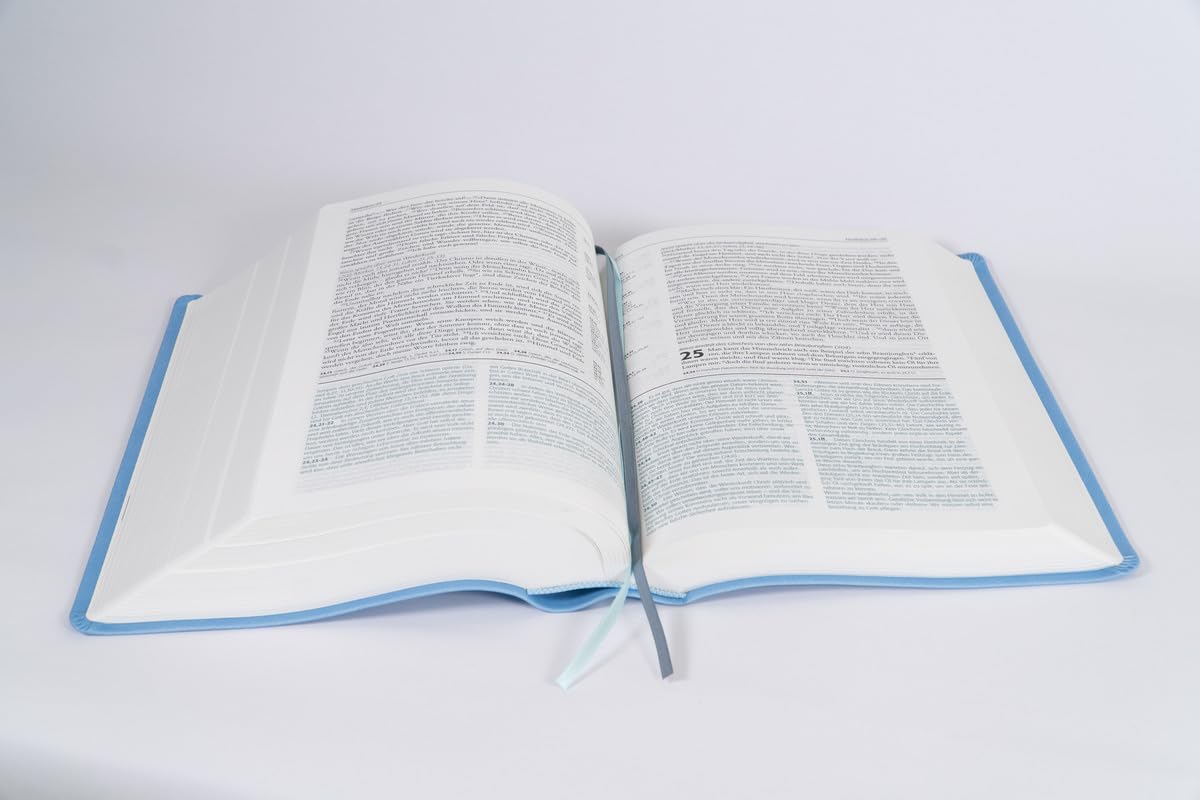 Begegnung fürs Leben, Kunstleder: Die Studienbibel für jeden Tag