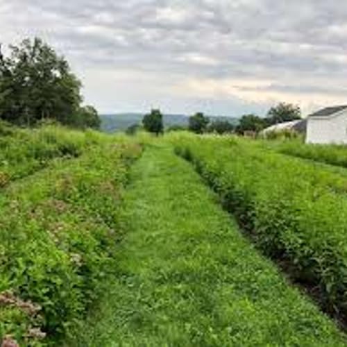 『The Organic Farm Stand, Sept. 4, 2025 -- The Ecotype Project』のカバーアート