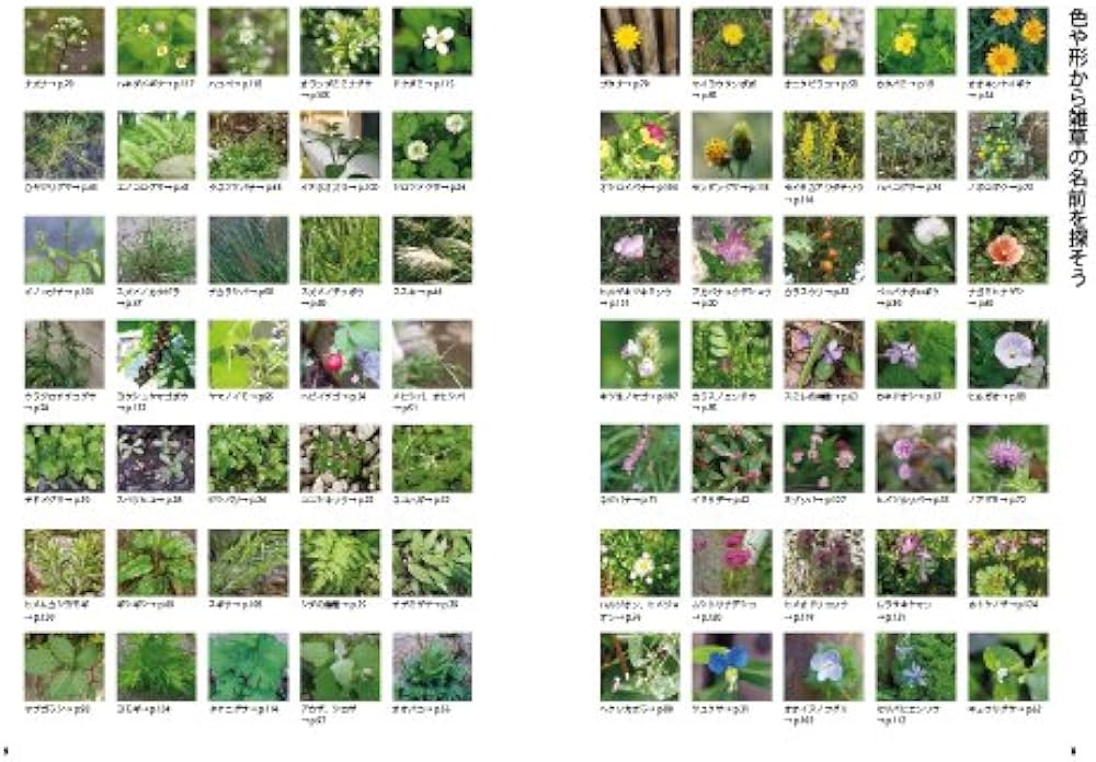 雑草と楽しむ庭づくりーオーガニック・ガーデン・ハンドブック | ひき