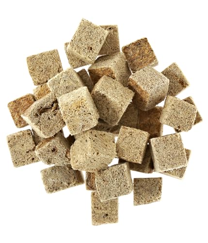 Dehner Aqua Fischfutter, Fischsnack proteinreich / 100% natürlich, Tubifex Würfel aus Bachröhrenwürmern für Zierfische, 20 g