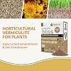 Vermiculite Bliss (16 Qts) - Organic Vermiculite for Gardening - 100% Natural Soil Amendment - Bulk Vermiculite for Plants, Potting Soil, Seed Starting - Mixes with Garden Soil & Perlite for Plants