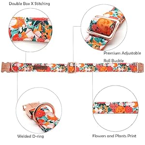 Lionheart glory Premium Floral Dog Collars Spring Dog Collar, Adjustable Heavy Duty Girl Dog Collar for XLarge Dogs Lionheart glory Premium Floral Dog Collars Spring Dog Collar Adjustable Heavy Duty Girl Dog Collar for XLarge Dogs