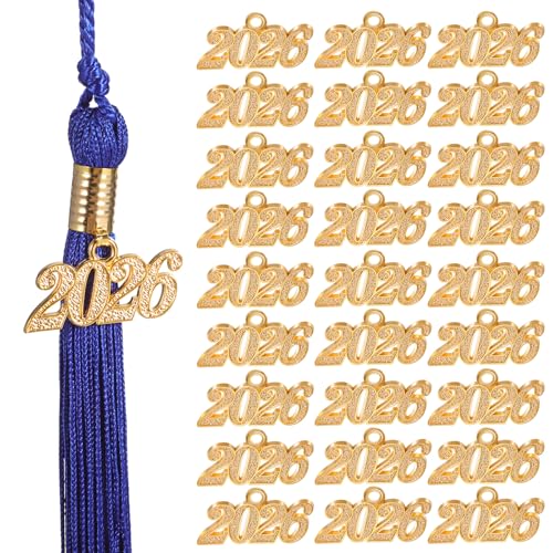 Operitacx 50pcs Year Alloy Charms for Jewelry Making Elegant Metal for Bracelets Necklaces Keychains Crafts Vintage Design for Creative Projects