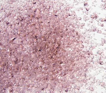 Oceanside - Frit - Pale Purple - Medium - 96 COE - 8.5oz