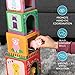 Play Brainy Farm Animal Sorting and Stacking Toys for Toddlers Ages 1-3 - 6 Sets of Animal Stacking Blocks Toddler Toys for Girls and Boys for Preschool Concepts & Early Learning Baby Gifts