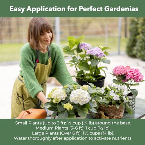 Image of GARDENWISE Slow Release Hydrangea Fertilizer with Iron & Sulfur - Indoor & Outdoor Soil Acidifier for Miracle Growth (2 qt)