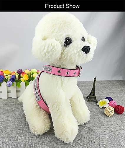 Newtensina Mode Hundegeschirr mit Diamantes Nettes Mädchen Bling Kleiner Hundegeschirr