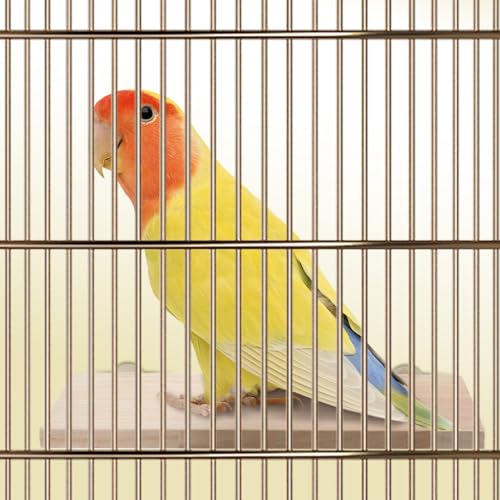 Image of 3 Pack Bird Perch Stand, Parrot Wood Platform, Natural Wooden Perch Toys Playground Cage for Conure, Chinchilla, Parakeet, Budgie, Cockatiel