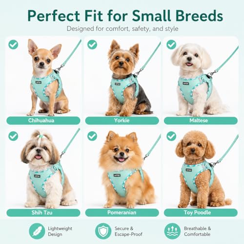 AMTOR Small Dog Harness with Leash Set, No Escape Easy Walk Puppy Harnesses for Training Walking, Step-in Reflective Soft Dogs Vest for XS S Medium Extra-Small Large Sized Dog(Green,S) - Image 6
