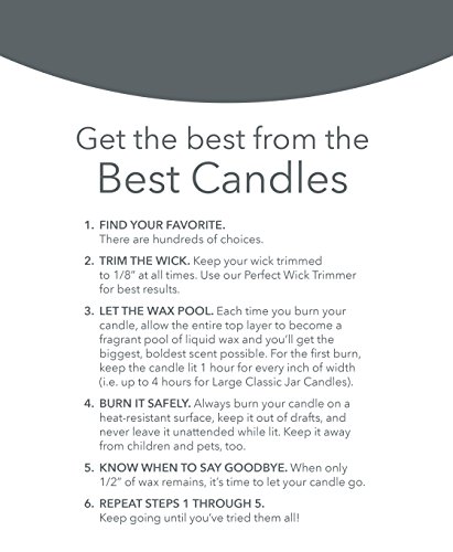 Yankee Candle Pumpkin Pie Scented, Classic 22Oz Large Tumbler 2-Wick Candle, Over 75 Hours Of Burn Time #TOP2