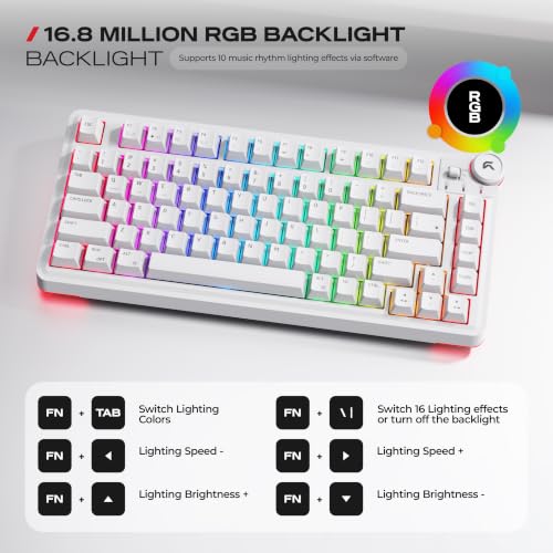 Image of Cybeart | Nighthawk 75 - TKL Wireless RGB Mechanical Keyboard | MKII Pre-Lubed Switches | 4000 mAh Battery | 5-Layer Gasket | Hot-Swappable | Tri-Mode (White)