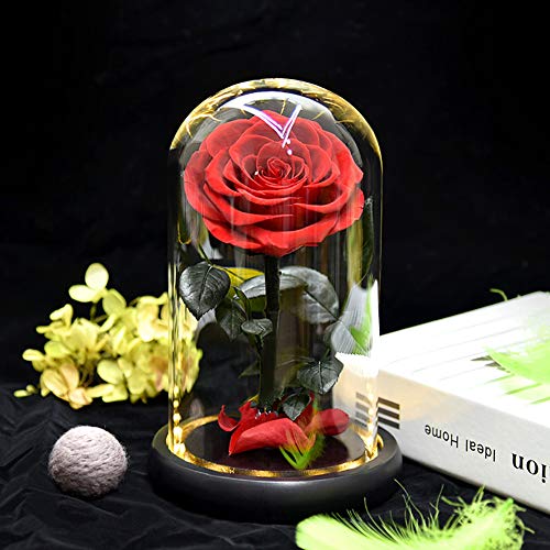 ThreeH Real Rose in Glass Dome Eternal Rose Fiore